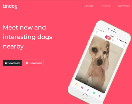 TINDOG STATIC WEB PAGE